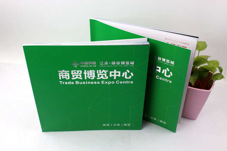 江永商貿(mào)博覽中心樓書(shū)畫(huà)冊(cè)